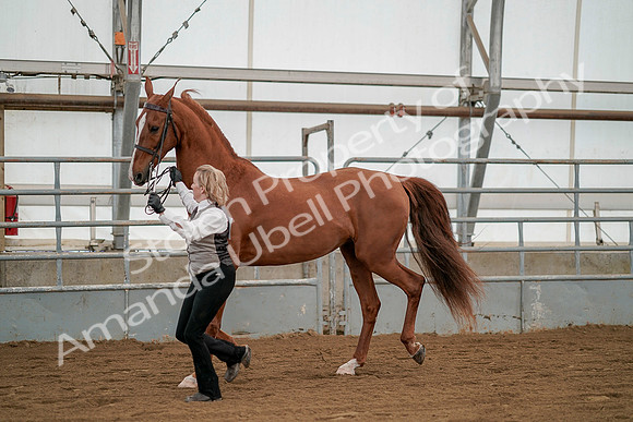 July 19, 2019 - 1353