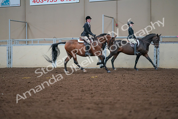 2019 Morgan Horse Show - Aug 30, 2019 - 20997