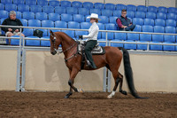 2020 - AB Morgan Horse - Sun, Sept 06 - 07471