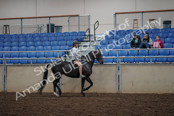 2019 Morgan Horse Show - Aug 30, 2019 - 31382