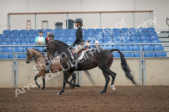 2019 Morgan Horse Show - Aug 31, 2019 - 04861