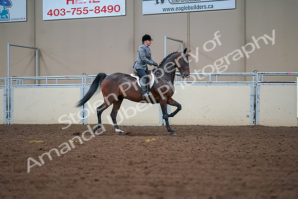 2019 Morgan Horse Show - Aug 30, 2019 - 20926