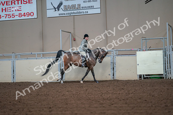2019 Morgan Horse Show - Aug 30, 2019 - 17601