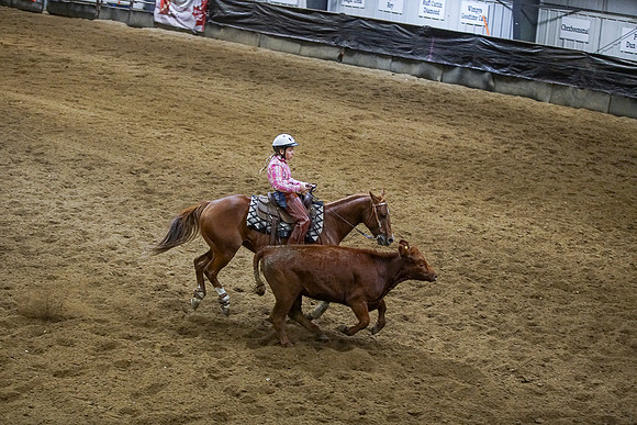 DSC03838