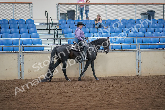 2019 Morgan Horse Show - Aug 30, 2019 - 17061