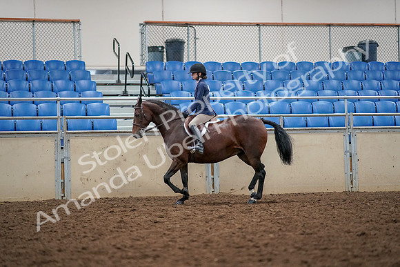 2019 Morgan Horse Show - Aug 30, 2019 - 23214