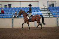2019 Morgan Horse Show - Aug 31, 2019 - 04820