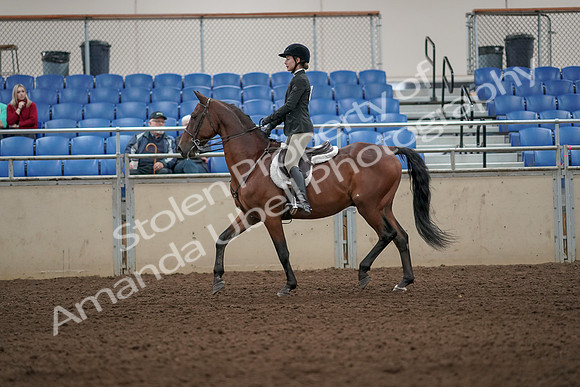 2019 Morgan Horse Show - Aug 31, 2019 - 04820