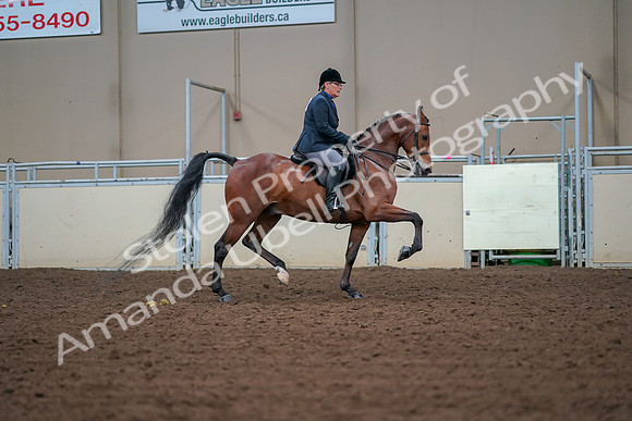 2019 Morgan Horse Show - Aug 30, 2019 - 20729