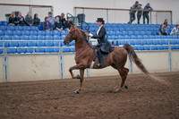 Class 126 - All Breed Any Seat Equitation Jr Rider Stake
