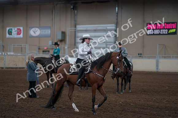2019 Morgan Horse Show - Sept 01, 2019 - 07254