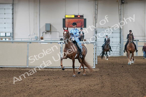 2020 - AB Morgan Horse - Sat, Sept 05 - 06085