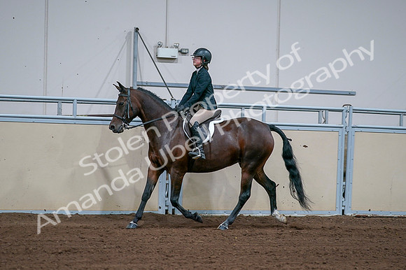 2020 - AB Morgan Horse - Fri, Sept 04 - 01665