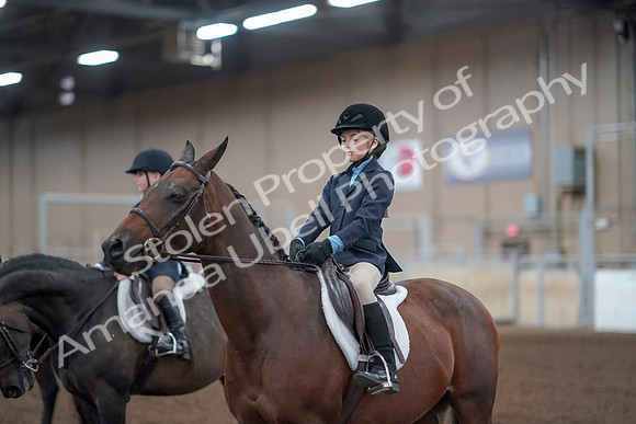 2019 Morgan Horse Show - Aug 31, 2019 - 19696