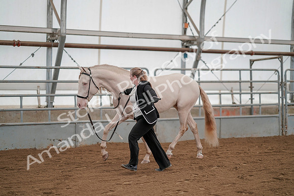 July 19, 2019 - 1307