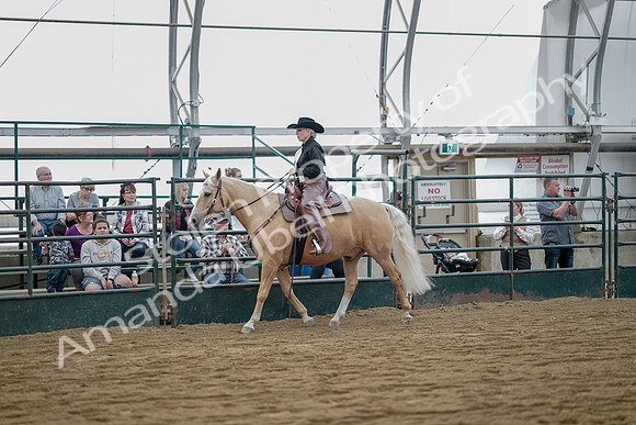 July 21, 2019 - 06728