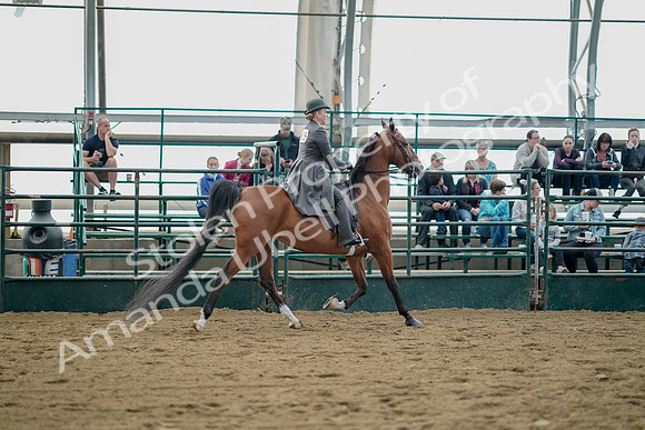 July 21, 2019 - 01855