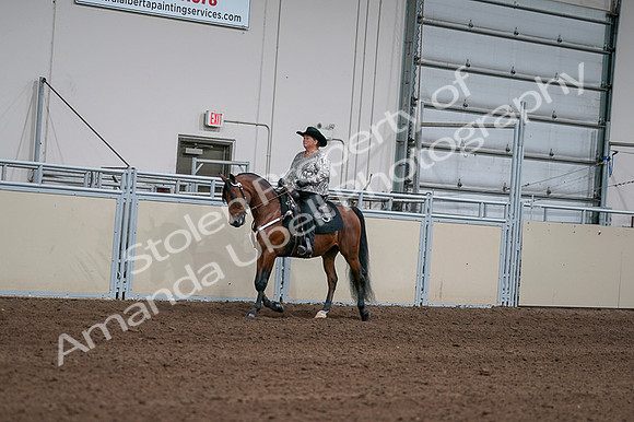 2020 - AB Morgan Horse - Fri, Sept 04 - 05706