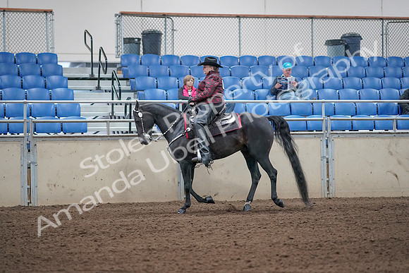 2019 Morgan Horse Show - Aug 31, 2019 - 10648