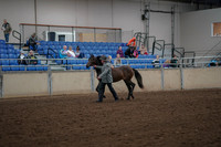 2019 Morgan Horse Show - Aug 30, 2019 - 25672