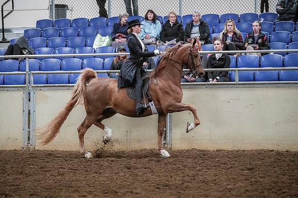 Spring Fling - Saturday - April 20, 2019  -  04337