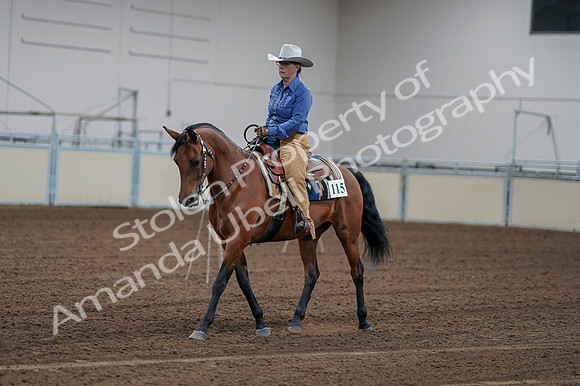 2020 - AB Morgan Horse - Fri, Sept 04 - 00138