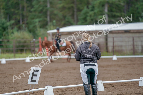 2019 Morgan Horse Show - Aug 30, 2019 - 00220