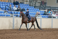 2020 - AB Morgan Horse - Sat, Sept 05 - 04755