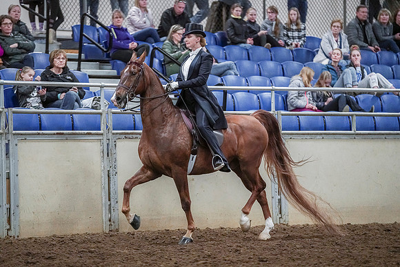 Spring Fling - Saturday - April 20, 2019  -  04417
