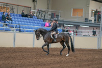 2020 - AB Morgan Horse - Sun, Sept 06 - 00882