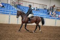 2020 - AB Morgan Horse - Sat, Sept 05 - 09313