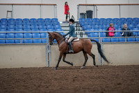 2019 Morgan Horse Show - Aug 31, 2019 - 17127