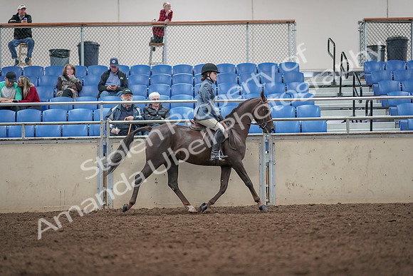 2019 Morgan Horse Show - Aug 31, 2019 - 07418