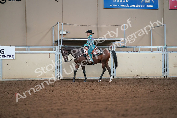 2019 Morgan Horse Show - Aug 30, 2019 - 16802