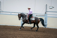 2020 - AB Morgan Horse - Fri, Sept 04 - 00550