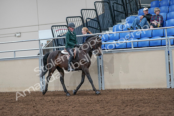 2020 - AB Morgan Horse - Sat, Sept 05 - 05139