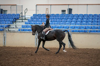 2019 Morgan Horse Show - Aug 30, 2019 - 12133