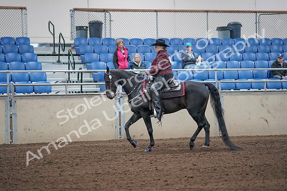 2019 Morgan Horse Show - Aug 31, 2019 - 10562