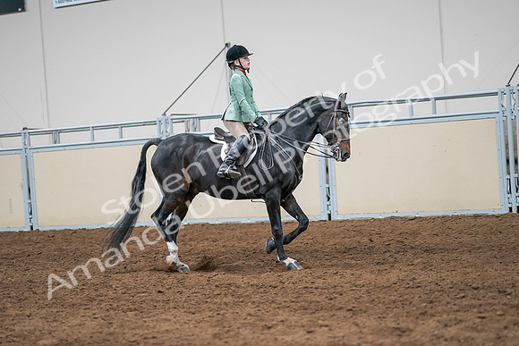 2020 - AB Morgan Horse - Sun, Sept 06 - 08053