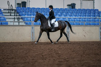 2019 Morgan Horse Show - Aug 30, 2019 - 18302