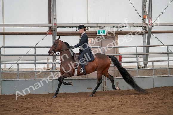 July 20, 2019 - 04380
