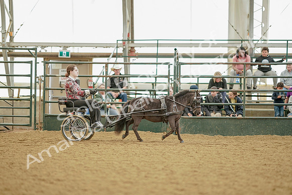 July 21, 2019 - 09580