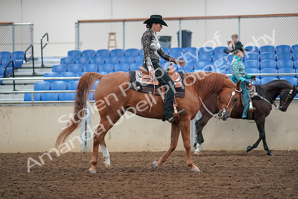 2019 Morgan Horse Show - Aug 30, 2019 - 16975