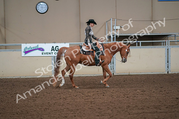 2019 Morgan Horse Show - Aug 30, 2019 - 17024