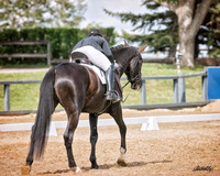 Assoc - CA-ADA Dressage Show - June 02 - 00484