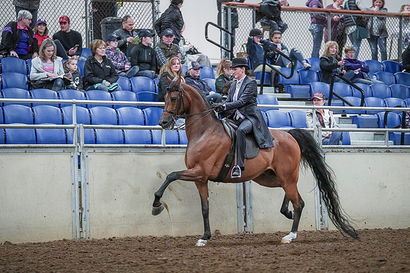 Spring Fling - Saturday - April 20, 2019  -  00646