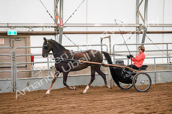 July 19, 2019 - 6975