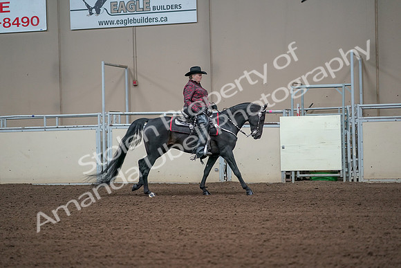2019 Morgan Horse Show - Aug 31, 2019 - 10722