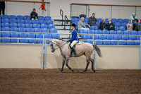 2020 - AB Morgan Horse - Fri, Sept 04 - 10341