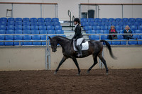 2019 Morgan Horse Show - Aug 31, 2019 - 16500